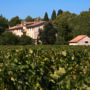 Domaine des Grottes