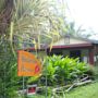 Hedonisia Hawaii Sustainable Community