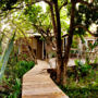 Bamboo, the Guesthouse