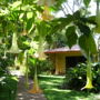 Tacacori EcoLodge