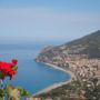 Larosadelmare
