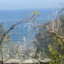 Bas de Villa Entre Mer et Montagne