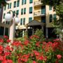 Hotel Salus