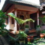 Bali Homestay Program
