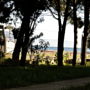 Vila Branka