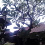 Pondok Satwa 2