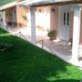 Olive Grove Studios