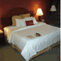 Crowne Plaza Hotel - Clark