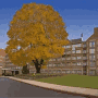 Embassy Suites Philadelphia-Valley Forge