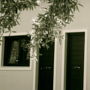 Casa Varosi