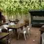 Oasis Backpackers