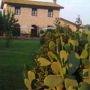 Bed & Breakfast Flora