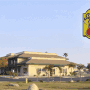 Super 8 Lindsay Olive Tree