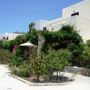 Doma Apartments