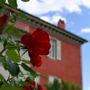 Villa Cassia di Baccano