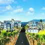 Jeju Pent House