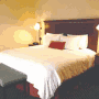 Hampton Inn Winfield