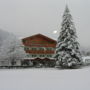 Hotel Villa Margherita