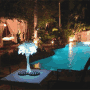 Ed Lugo Resort