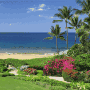 Makena Surf - Destination Resorts Hawaii