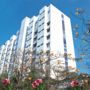 Surya Palace Hotel