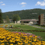 Honors Haven Resort & Spa