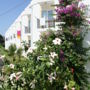 Viras Hotel