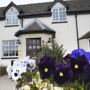 Angel House B&B