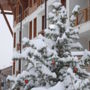 White Lavina Spa and Ski Lodge