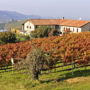 Amalia Cascina in Langa