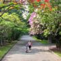 Graha Residen Serviced Apartments
