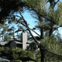 Cambria Pines Lodge