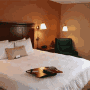 Hampton Inn Germantown/Gaithersburg