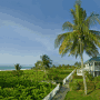 Sanibel Arms West