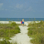 Tropical Winds Beachfront Motel and Cottages