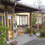 Hasuwa