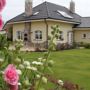 B&B Kamelia