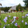 Landhotel Thälerhäusle