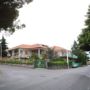 Il Vigneto