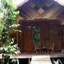 Rimba Orangutan Eco Lodge
