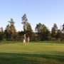 Bjärkas Golf