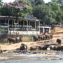 Hotel Elephant Park