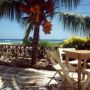 The Islander