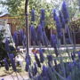 Camping Orgiva