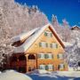 Hotel Gasthaus Schäfle