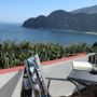 Casa Los Delfines