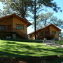 Bosque Escondido