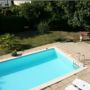 Les Hibiscus
