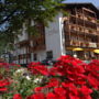 Hotel Alpino