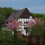 Hotel Restaurant Hof Hueck
